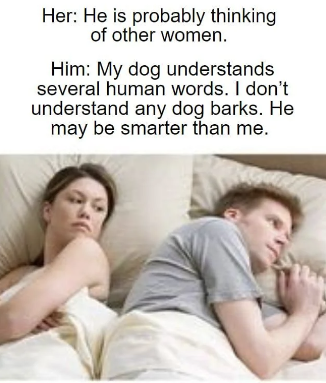 man woman bed thinking meme - Her He is probably thinking of other women. Him My dog understands several human words. I don't understand any dog barks. He may be smarter than me.